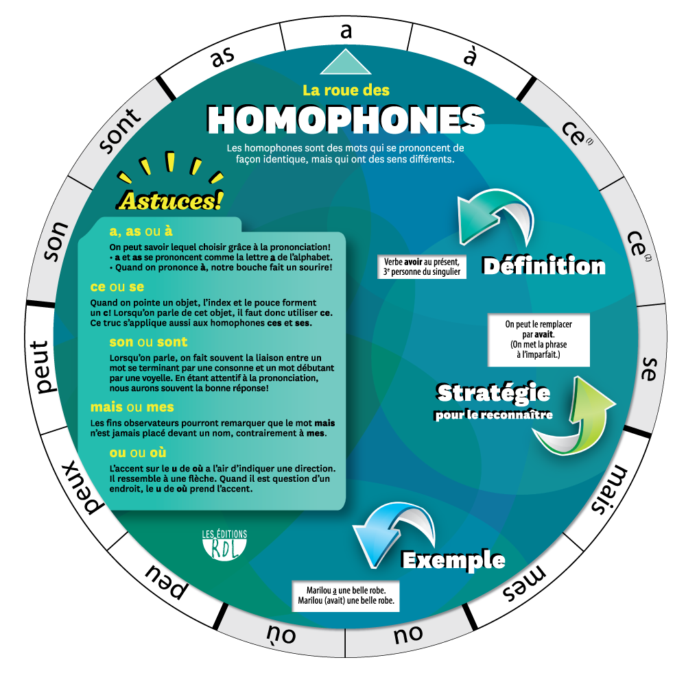 La roue des homophones - Ancienne édition - Liquidation